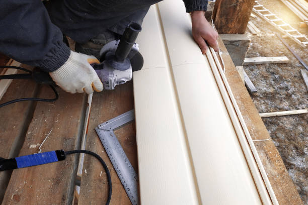 Best Steel Siding Installation  in Aquia Harbour, VA